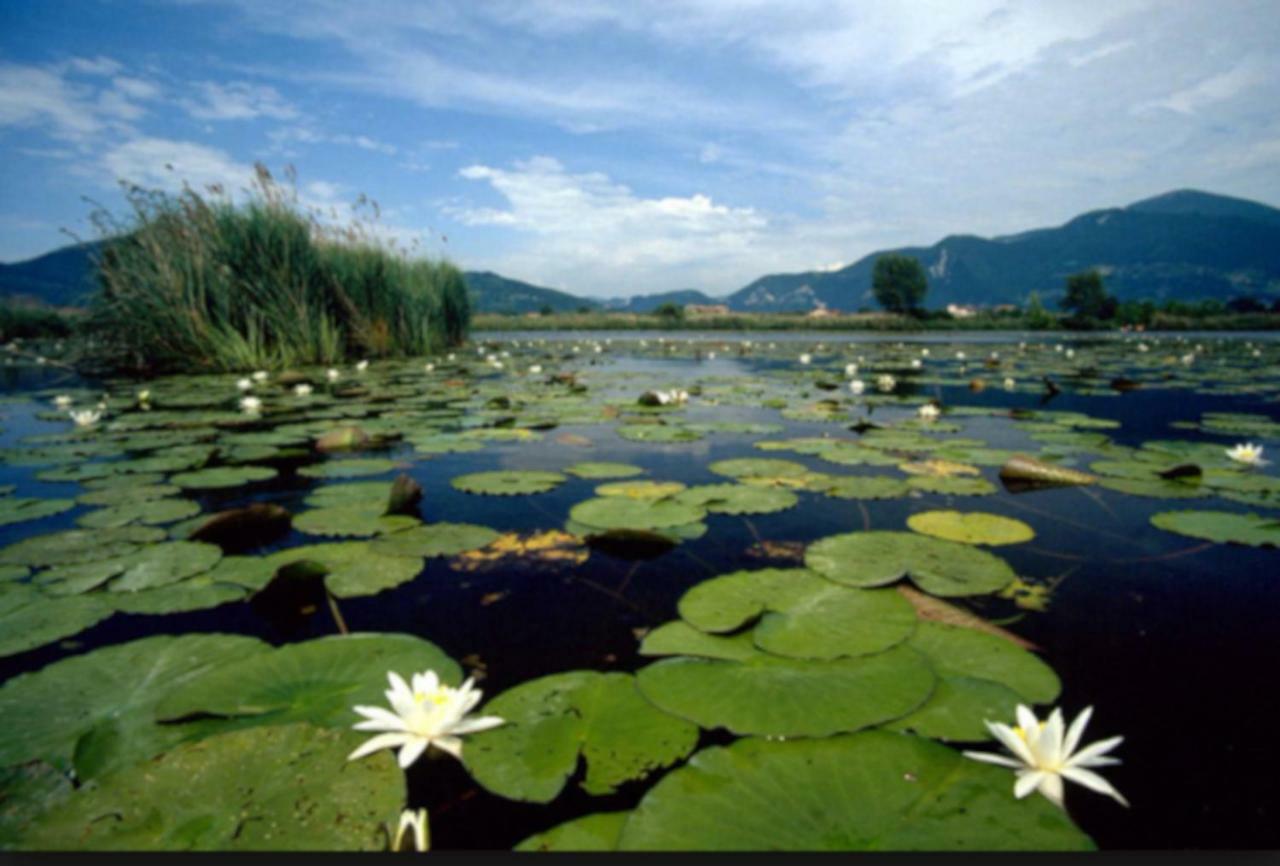 Iseo Lake Home Nature & Relax Eksteriør billede